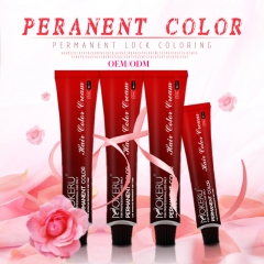 Professional hair cream colors dye